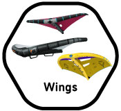 Wingboarding Wings